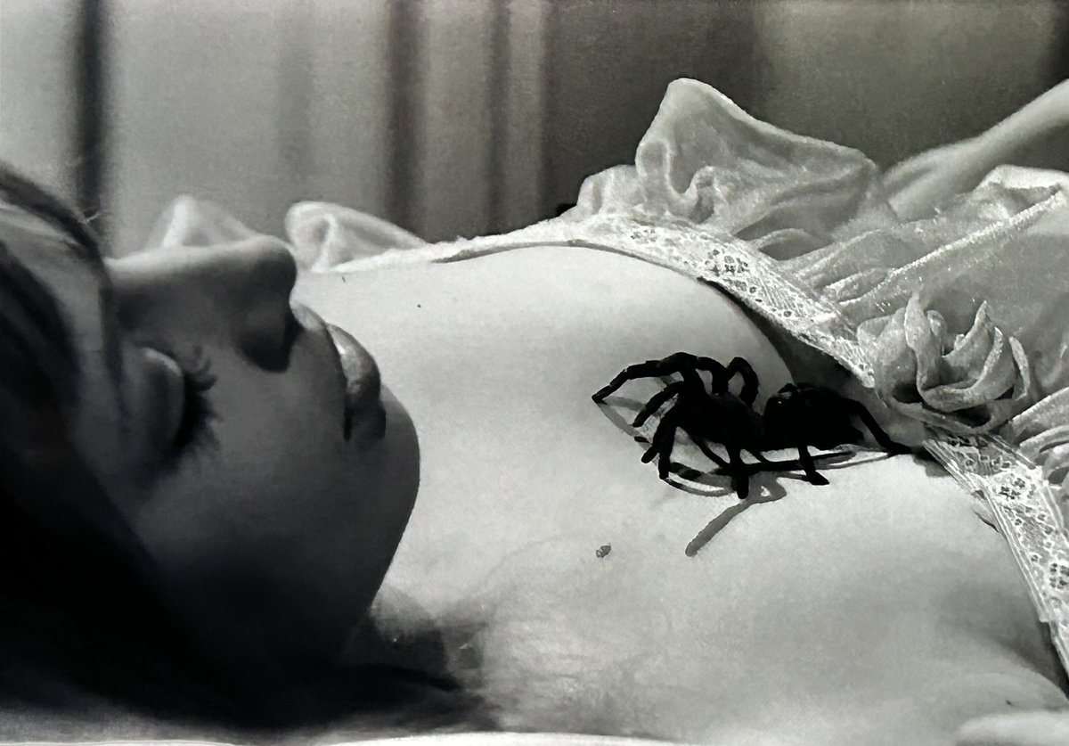 littleleah78's tweet photo. Eight legged motorboats. 🕷️

#BBBBBBB
#AGirlCanDream
#ThisNightIllPossessYourCorps
#CoffinJoe 
#TheLastDriveIn
#MutantFam

@therealjoebob @kinky_horror @TheMutantFam https://t.co/jihMbkCpDY