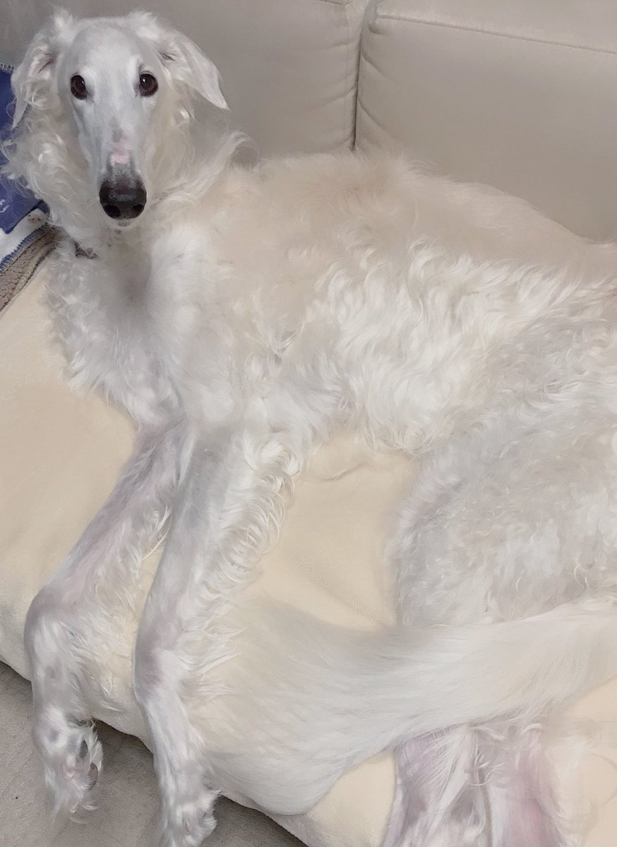 つやつやも見て〜