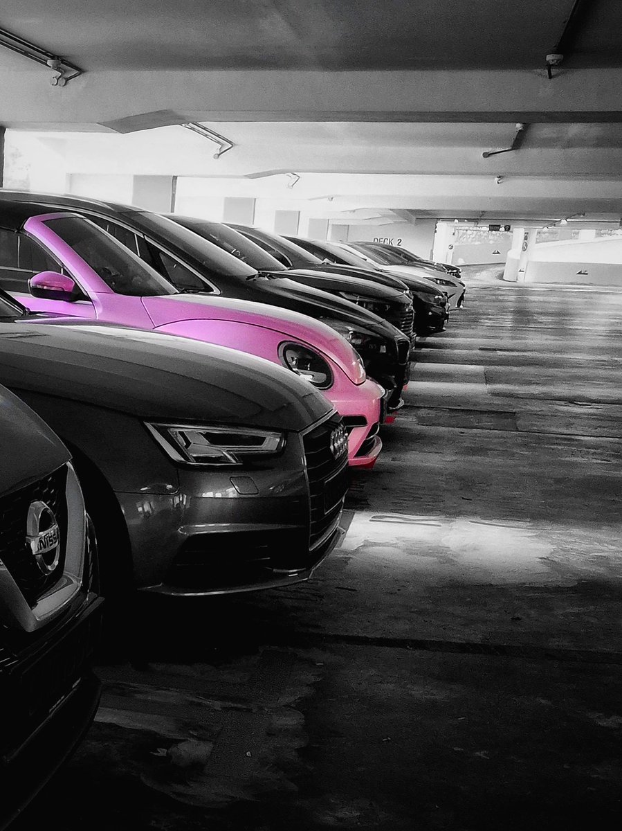 seawmichael's tweet image. 