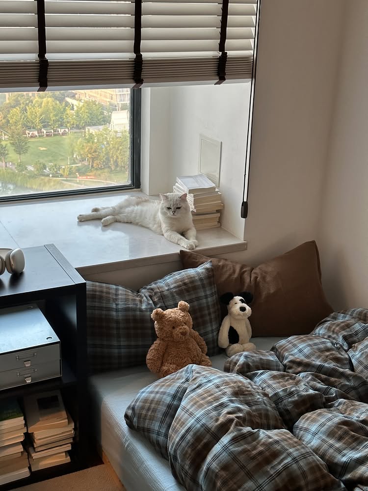 interiorsuckerr's tweet photo. https://t.co/8cIj2bMNsO