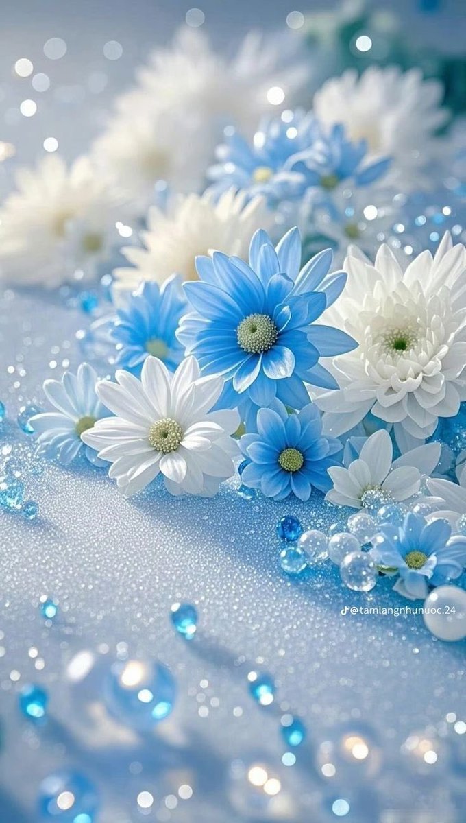 #قبل_الشروق

إذ زانت علاقتك بربك، زانت علاقتك بنفسك وأهلك وناسك، ودنياك كلها ،،صَباح اليَقين بانّ رَحمة الله أوســـَع من مَتاعب الحَياة … ✍🏻