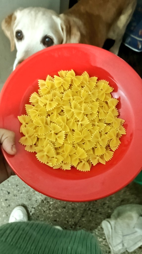 Me estoy por hacer unos "fideos moñitos" y me acordé de vos Marti Benza. <a href="/olgaenvivo/">OLGA</a>