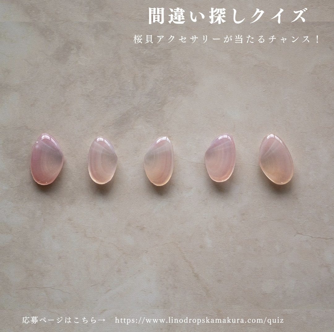 桜貝　ネックレス　リノドロップス　lino drops 鎌倉 鎌倉】由比ヶ浜で拾った桜貝が、一点もののアクセサリーに変身