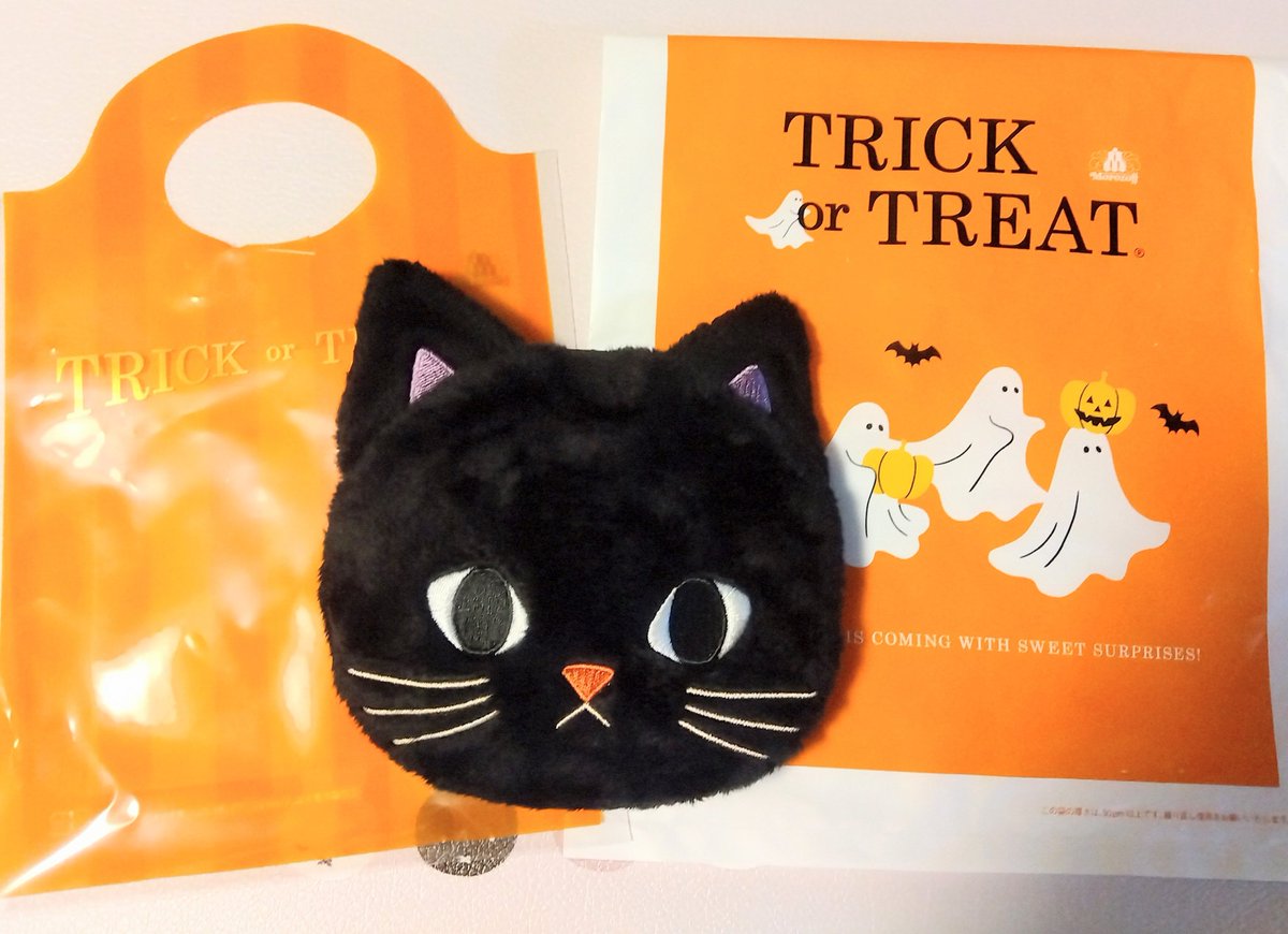 ♥ひろりん♥クレイフラワー♥ハロウィン♥ワンちゃんとネコちゃんの収穫祭 寝んねフォトも撮れた👶🏻🐶💤 嬉しい🥹🤍 #ハロウィン #101匹