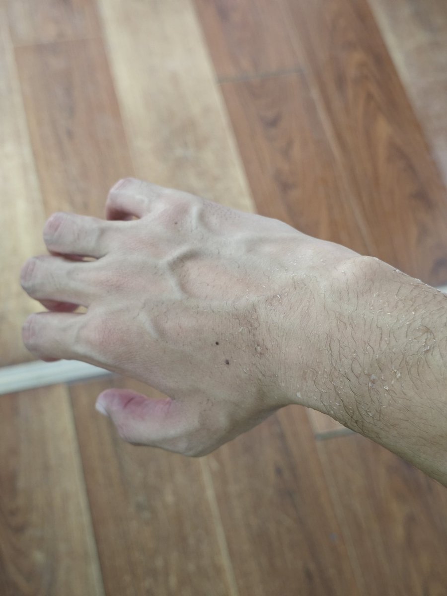 熬夜猫猫头 tweet media