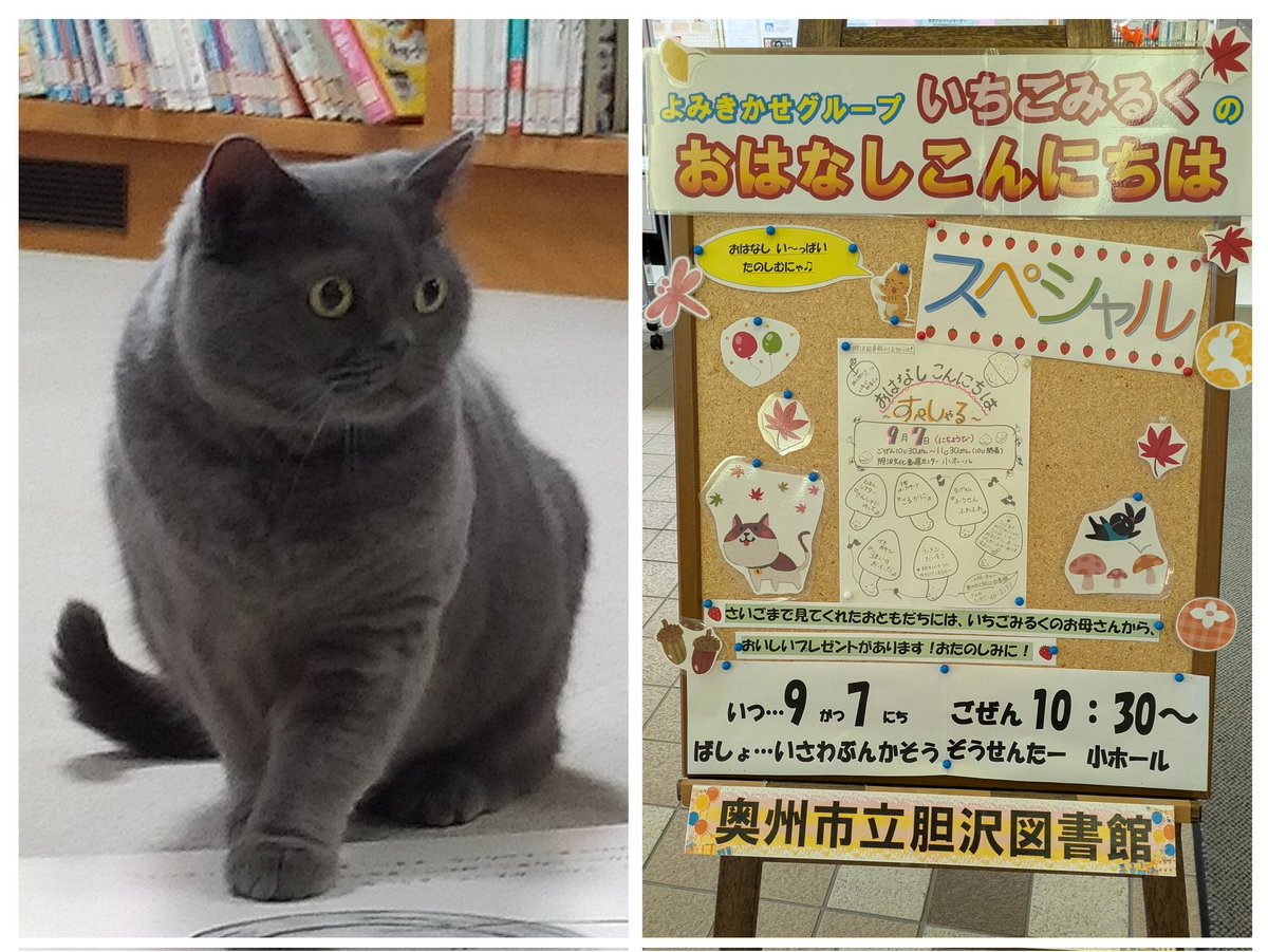 ねこねこ横丁 (@nekoyoko_web) / X