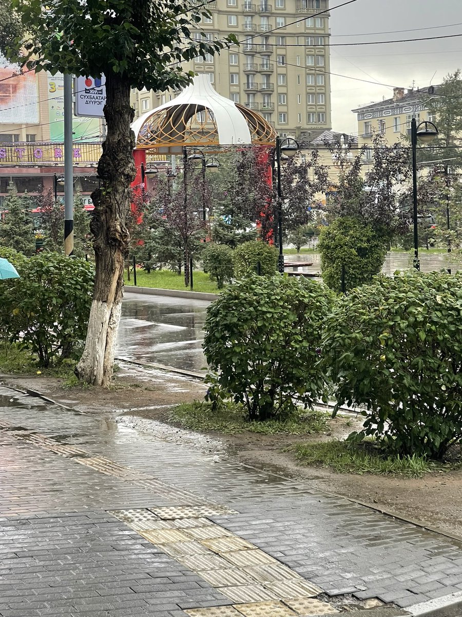 Нянгар манай хотыг яг өөр шигээ царайтай үхрийн сарай болгож бна дөө зда