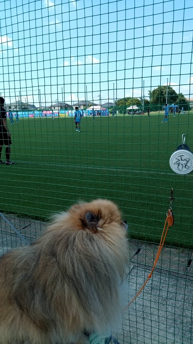 kamassyu's tweet photo. 鳥栖U18 vs 広島U18
1-0で後半開始

サイド替わり、広島が攻勢に出る

プレミアリーグwest　上位決戦 https://t.co/7kjuOksPe6