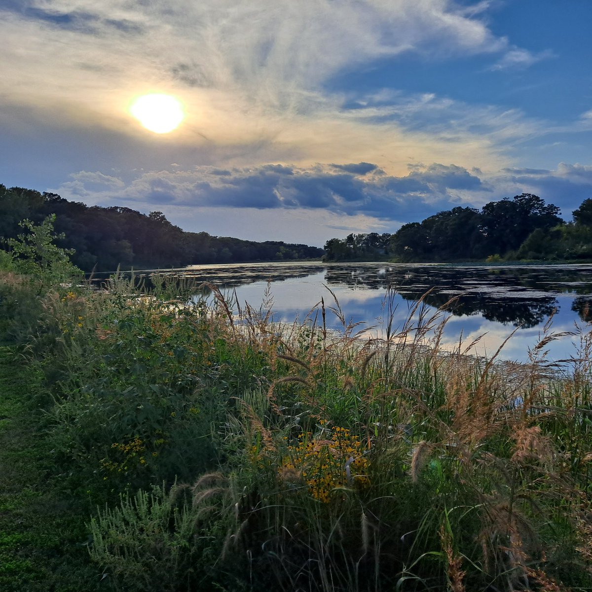 Happy hikes over the past week during warmer days:
Lebanon Hills Regional Park, Crow-Hassan Park Reserve, &amp;Ritter Farm! 🚗🌻❤️🙂