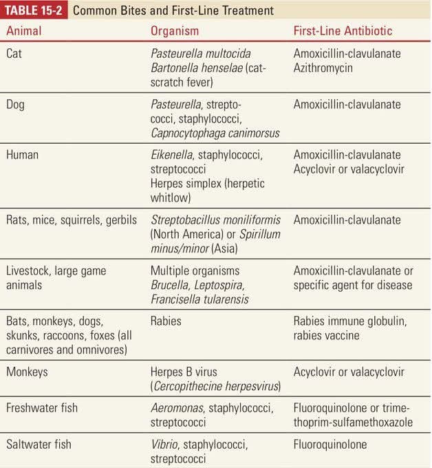 Treatment of animal bites