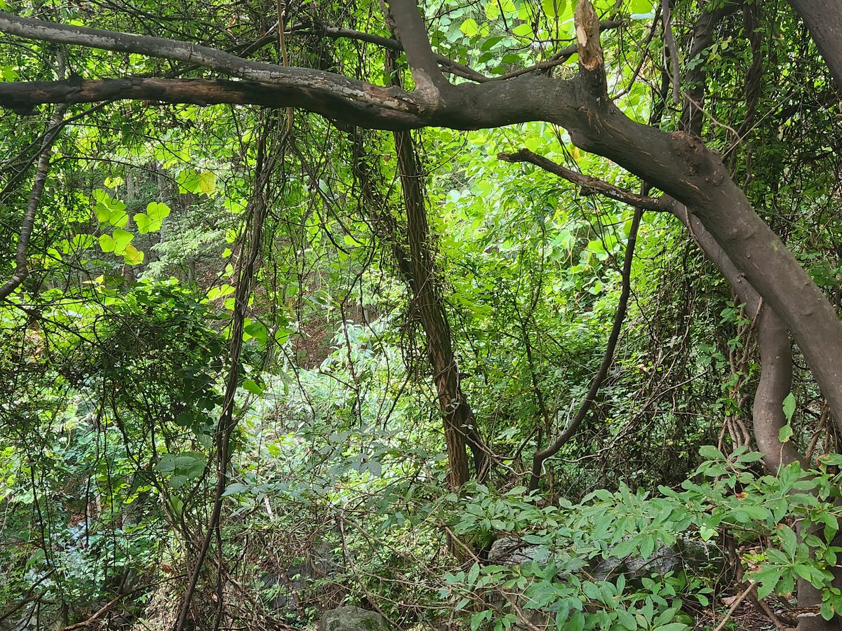 고향의 깊은 산속에서 아침을 열다.

오늘은 고향에서 하루를~~