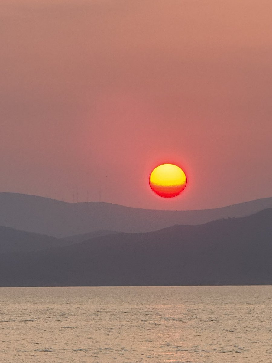 Popswithhops's tweet image. Today’s photo theme is: Round.

#Round