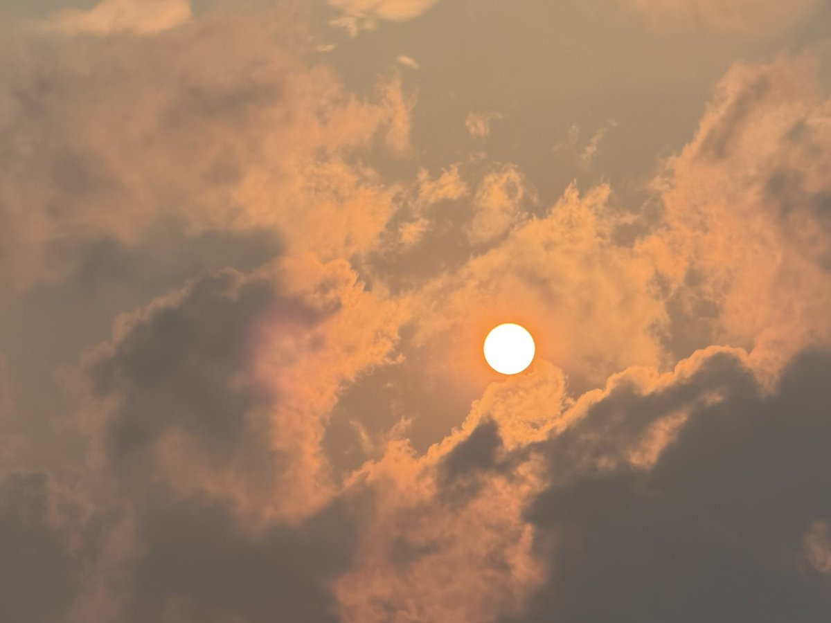 Popswithhops's tweet image. Today’s photo theme is: Round.

#Round