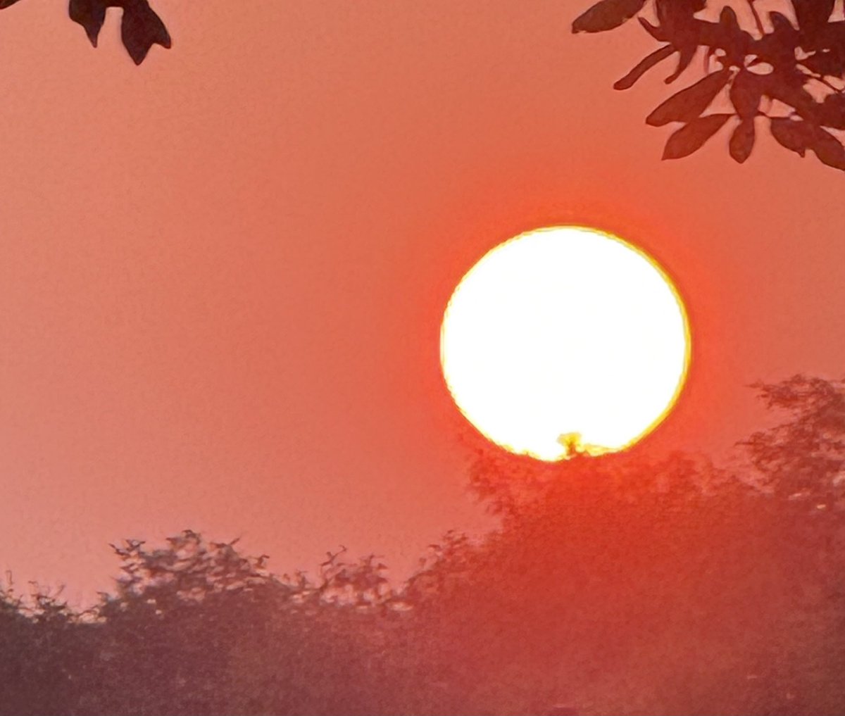 Popswithhops's tweet image. Today’s photo theme is: Round.

#Round