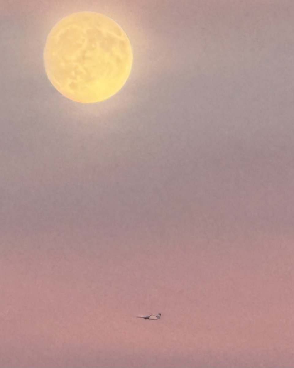 Popswithhops's tweet image. Today’s photo theme is: Round.

#Round