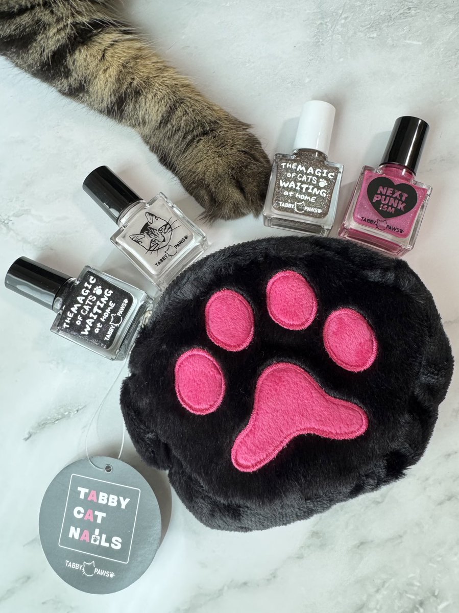 猫柳 猫柳(ねこやなぎ) on X: 