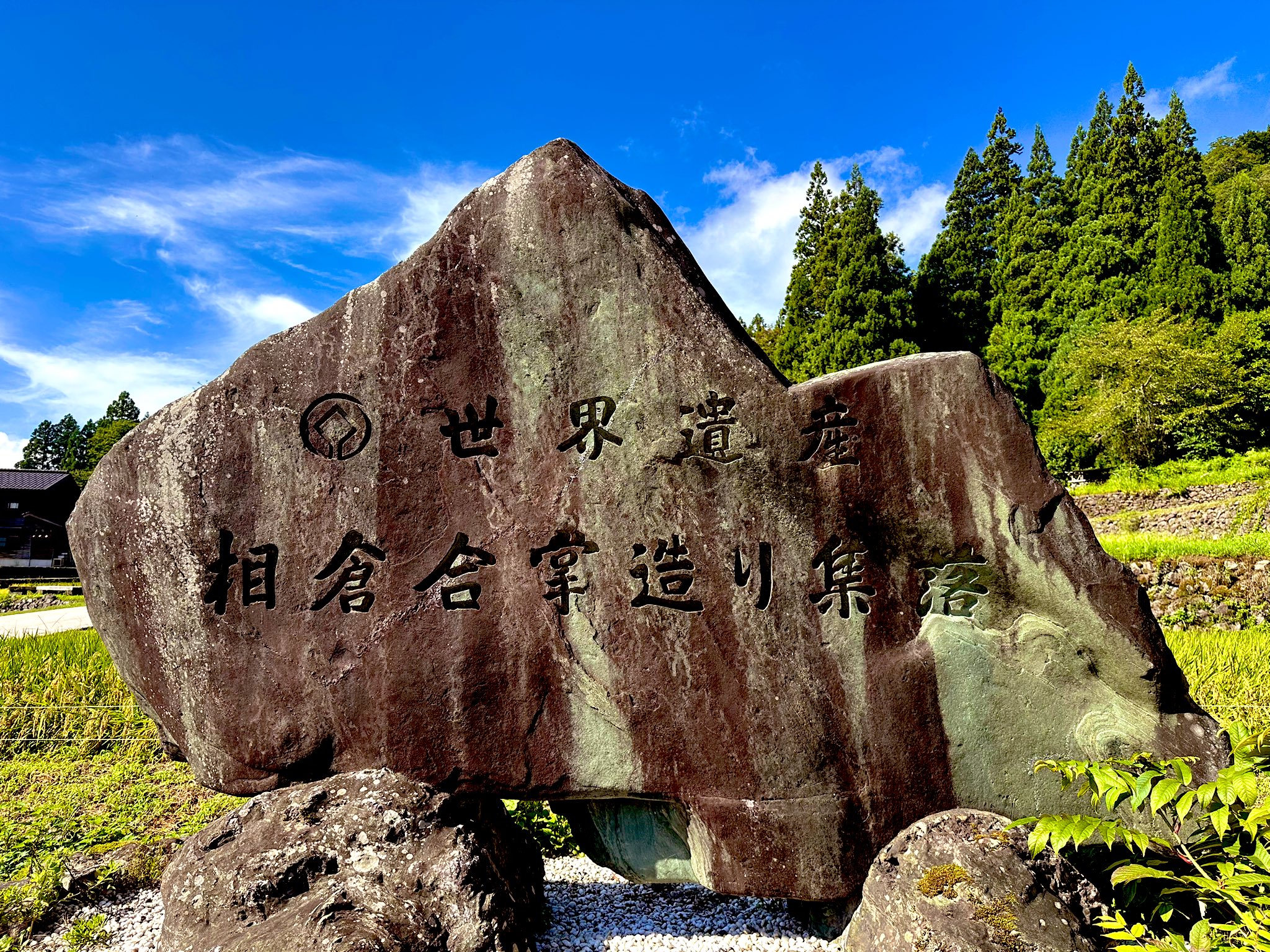 杉っぺ 杉っぺ (@34_barkley) / X