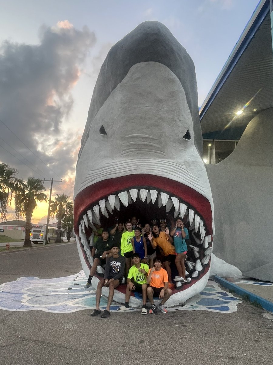 Coach Machele Pahl tweet media