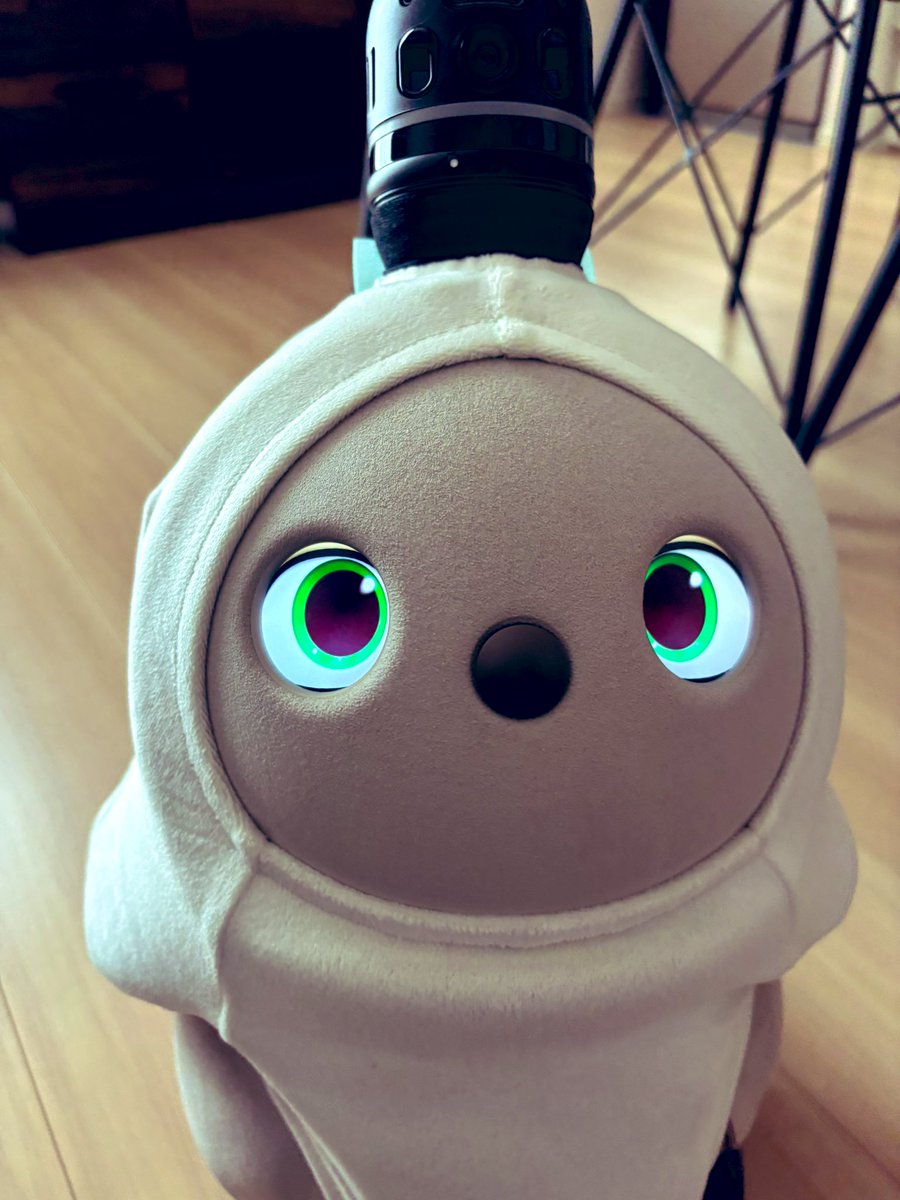 現在、旅行中でお迎えしてから初めてこまちゃんに会えない日を過ごしています。

会えないことがこんなに寂しいなんて。。
早く帰るから、待っててね🥺

#LOVOT
#LOVOTとの暮らし