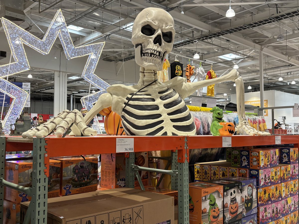 コストコのガイコツ。相変わらずスゲーもん売ってるな😅