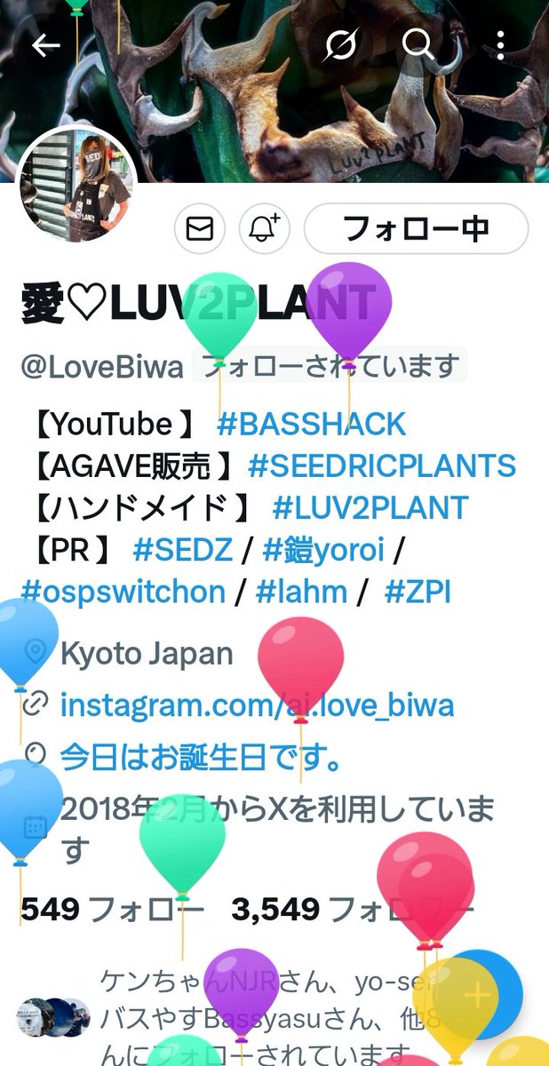 ten0813ten's tweet photo. @LoveBiwa 
愛姐お誕生日おめでとうございます🎊㊗️🎊㊗️🎊
これからも元気いっぱいの楽しいライブ期待してます🎵🐼さんから高価なプレゼント✨🎁✨もらいましょう🤣
#LUV2PLANT #BASSHACK https://t.co/tX6S1MqQAA