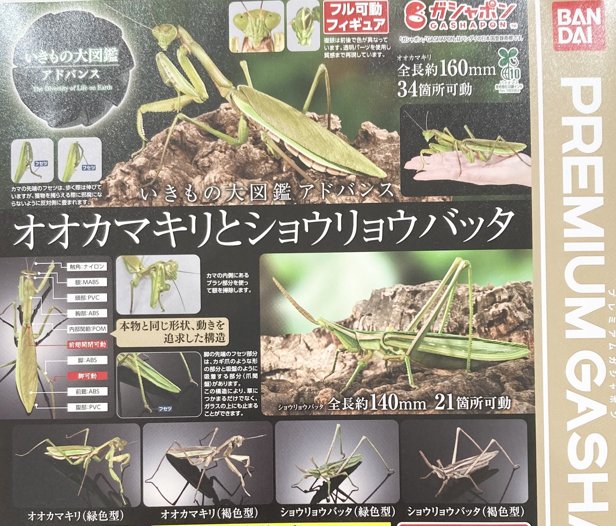 いきもの大図鑑アドバンス オオカマキリとショウリョウバッタ