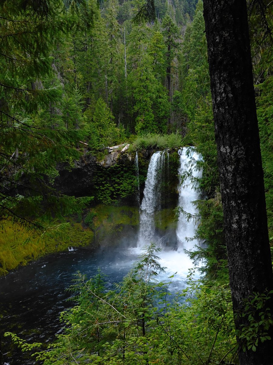 Exploring and yearning