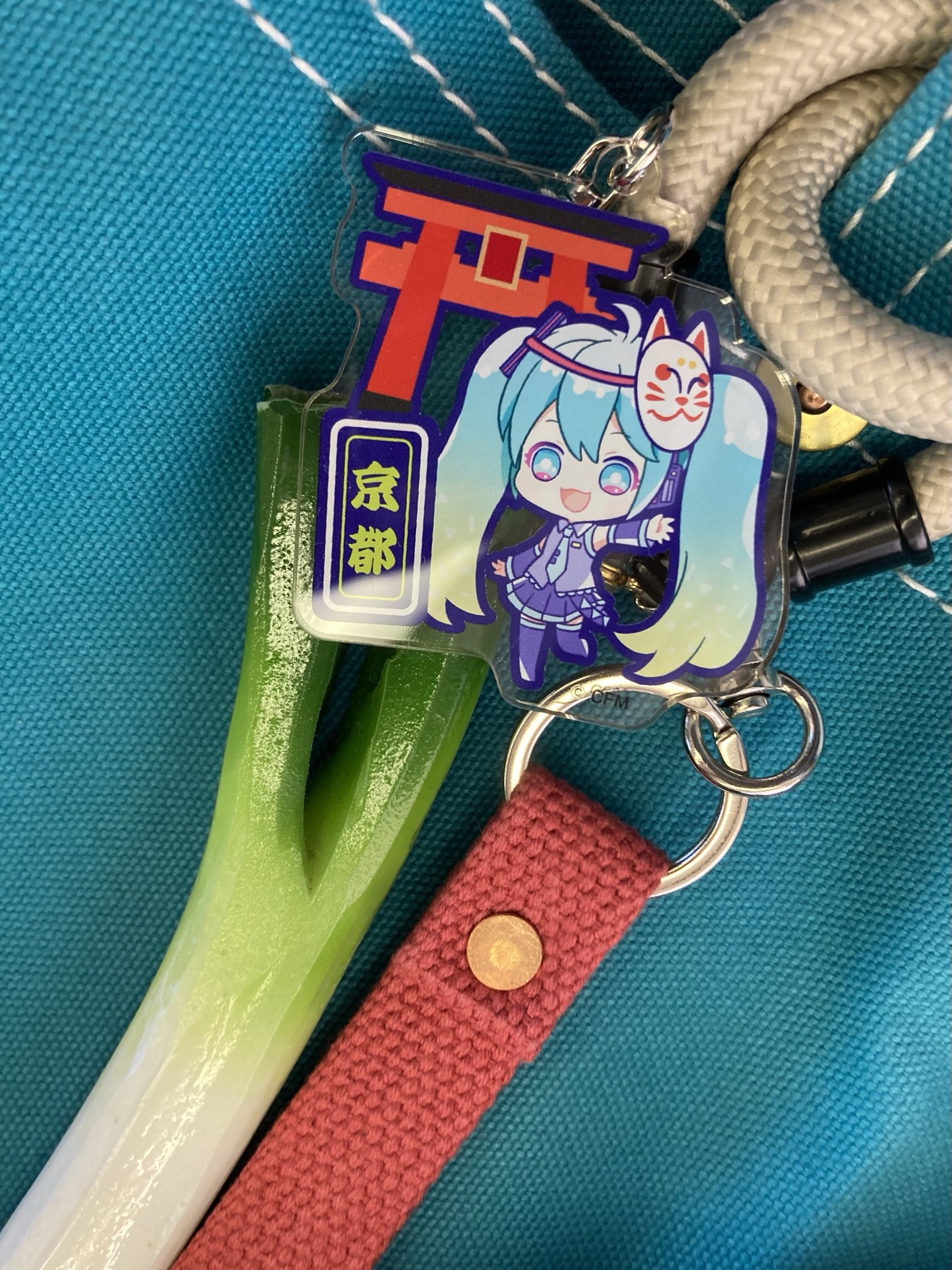 伊吹山のキーホルダーとおまけ付き 2025.7.20 余呉に集まる鳥たちが、キーホルダーとマグネットに