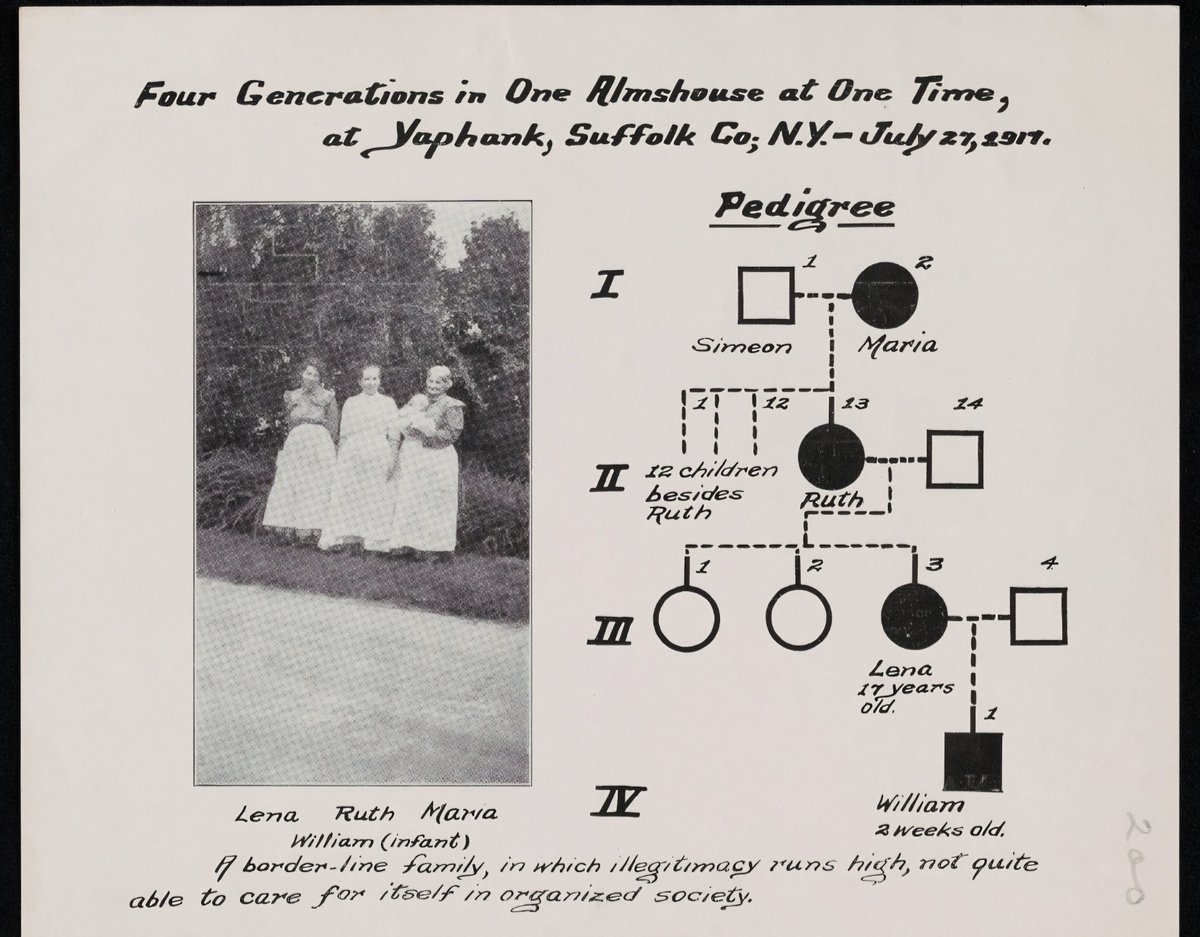 MTorresAuthor1's tweet image. Join me on October 16th at 7pm at the Yaphank Historical Society for a lecture on my book "Long Island and the Legacy of Eugenics: Station of Intolerance". 

The YHS is located at 19 Mill Rd, Yaphank, NY. 
#StationofIntolerance
#LongIslandAuthor 
#coldspringharbor
#Eugenics