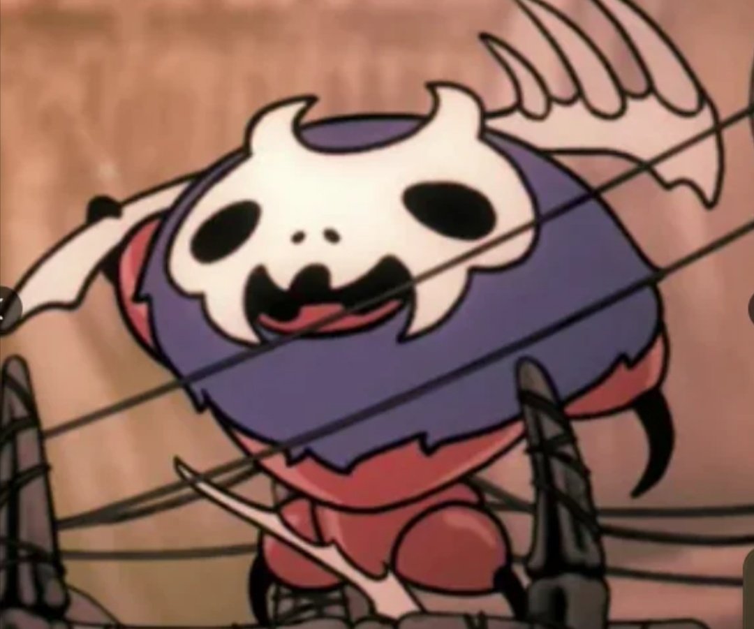 Carazuci4 tweet media