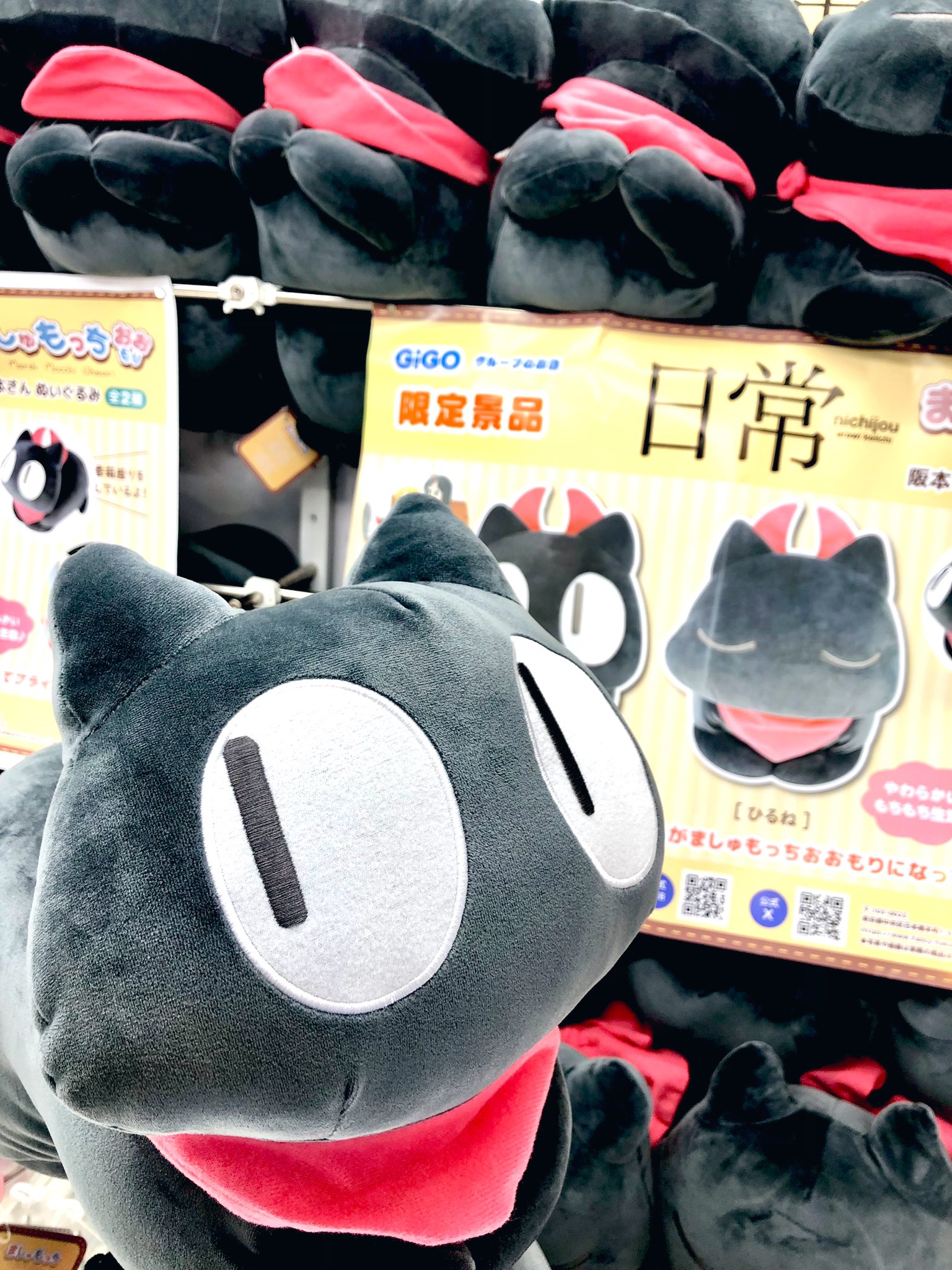 早い者勝ち‼️ 日常 ましゅもっち　おおもり 阪本さん bigぬいぐるみ 全2種 日常 ましゅもっちおおもり ぬいぐるみ 阪本さん ネコ GIGO 全2