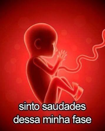 q sdd