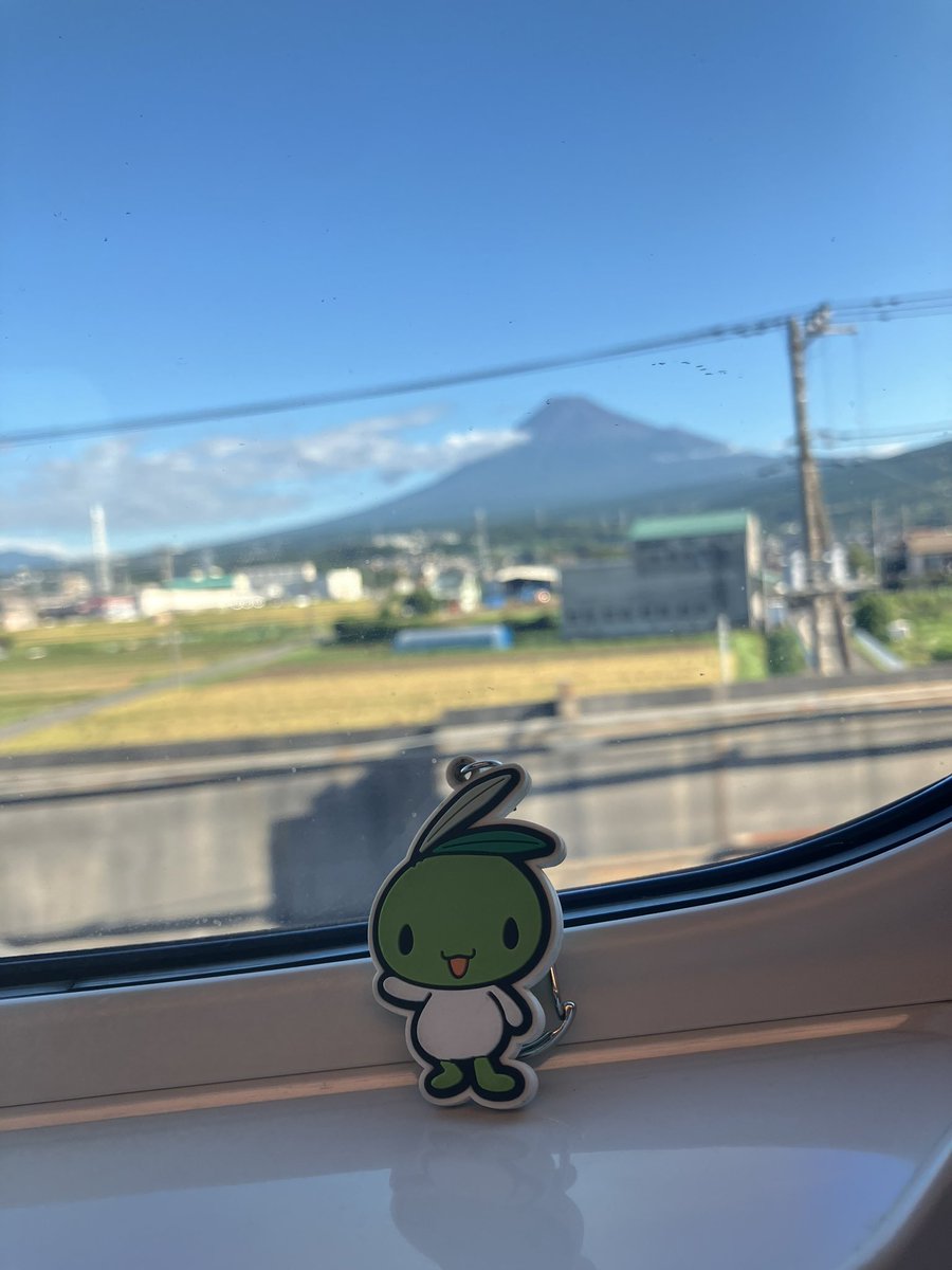 今日はバッチリ