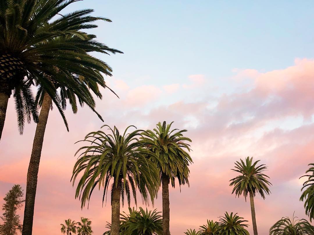 Enjoy the weekend, Broncos...

Just a couple more weeks until we get to see you all again🤩 

#SantaClaraLeavey #Fall2025