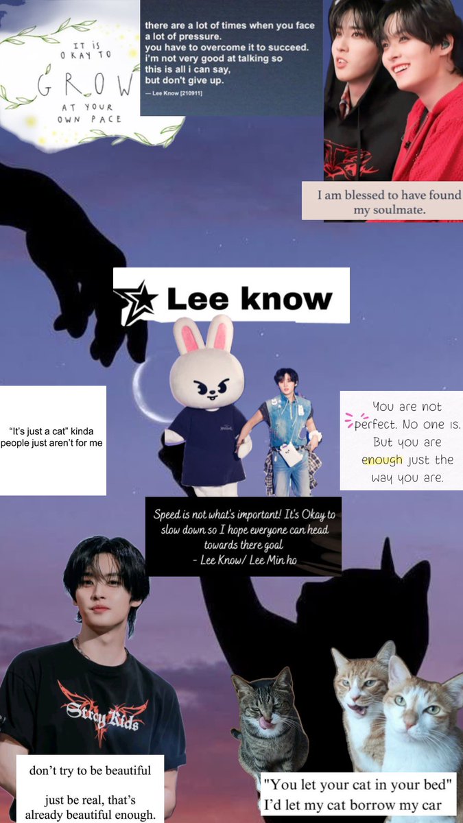 Conleyscove's tweet photo. I made everyone except Seungmin, but for the life of me can’t find anything that isn’t meme related for him 🥲 someone tell me a set vibe, I’m struggling #StrayKids #collages https://t.co/I3NT2AyZDi
