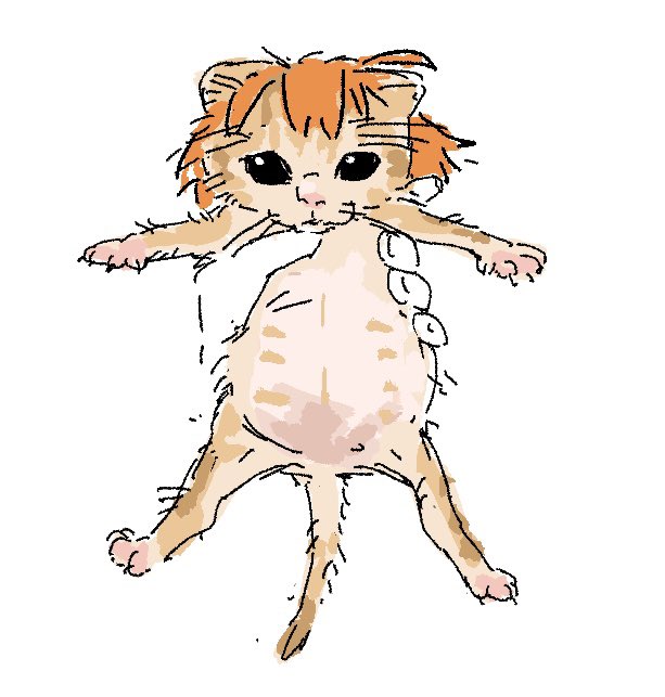 立香是小猫咪来的啊...