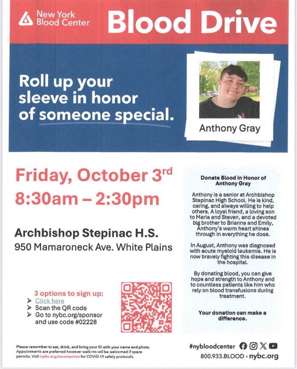 The Jungle tweet media