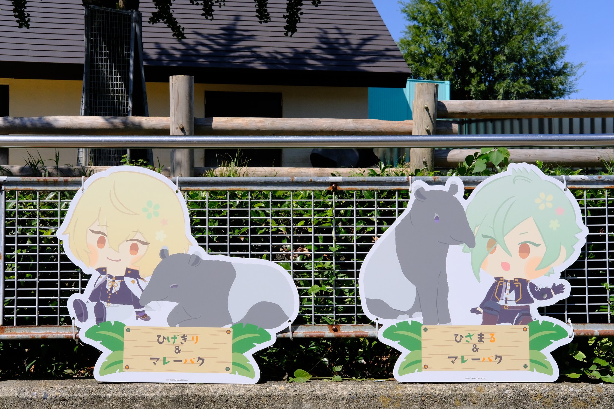 ☆むーみゃん ☆ 71wEHx5AvTL._UF350,350_QL50_.jpg
