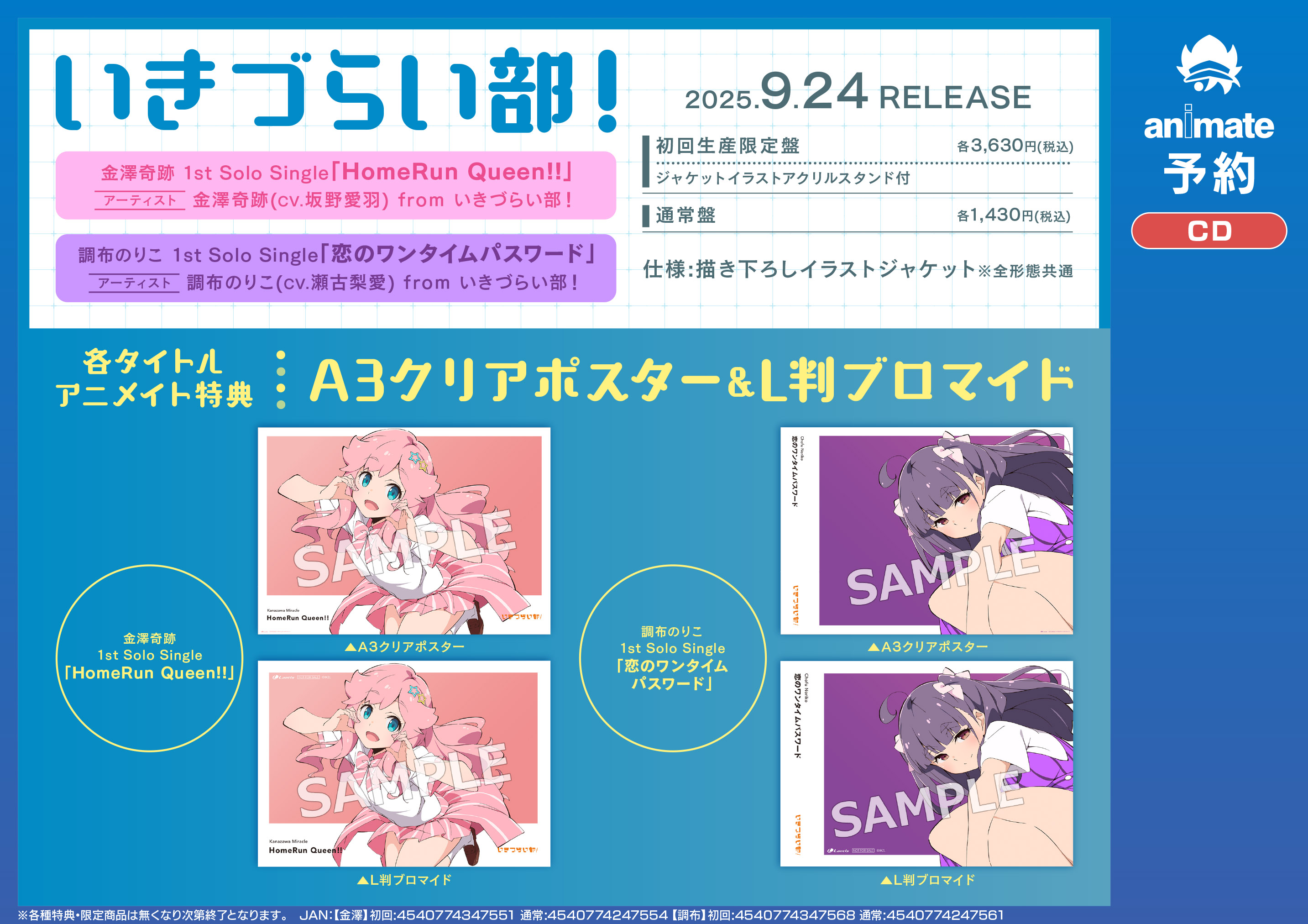 クリアポスター　クイーンズブレイド　リベリオン　アニメイト　全巻購入特典 クリアポスタークイーンズブレイドリベリオンアニメイト全巻購入特典