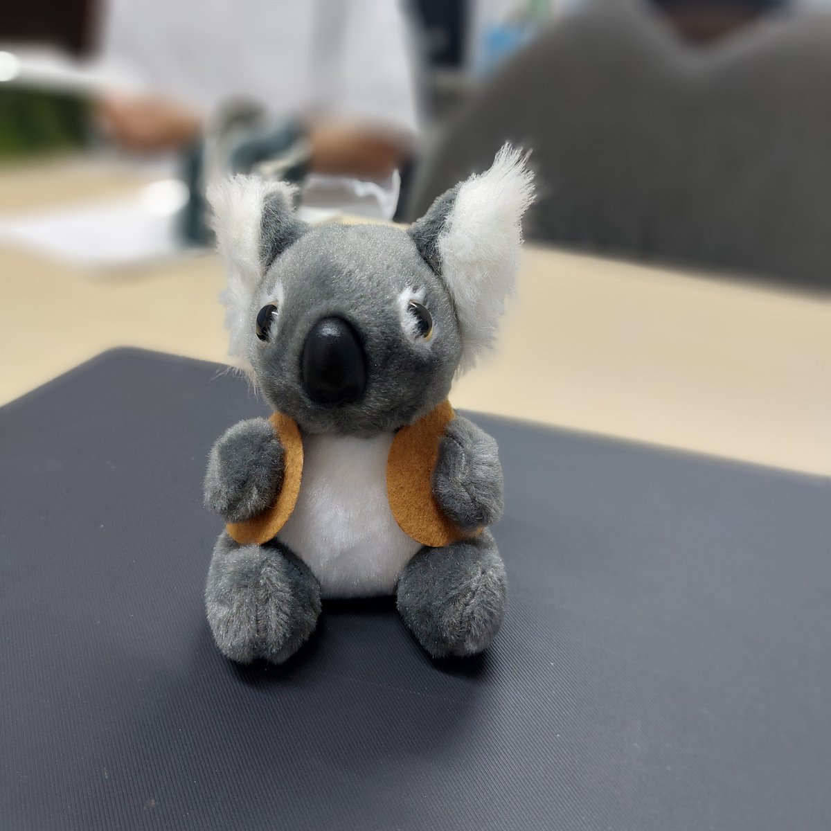 ロケット ランゲージ サービス tweet media