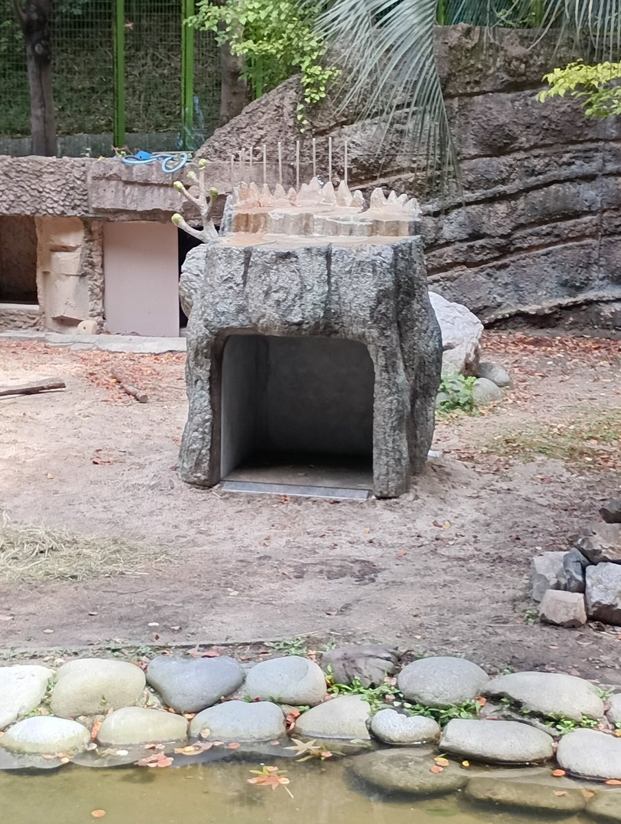 カピバラ舎に小屋みたいのが作られてました。
＃東山動植物園