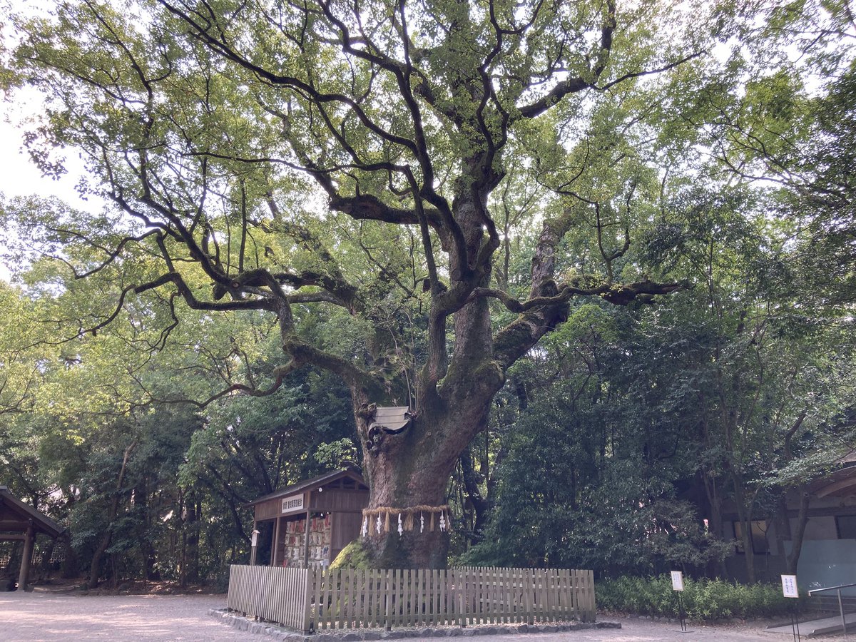 大阪メロン tweet media