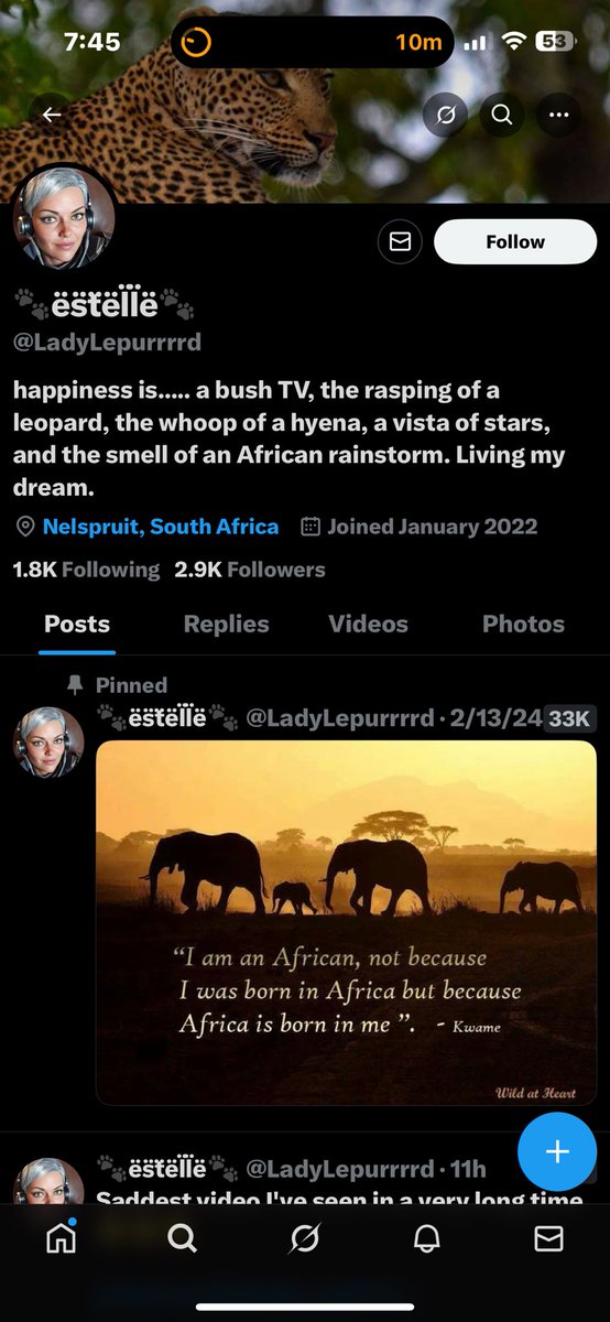 Tweet media one