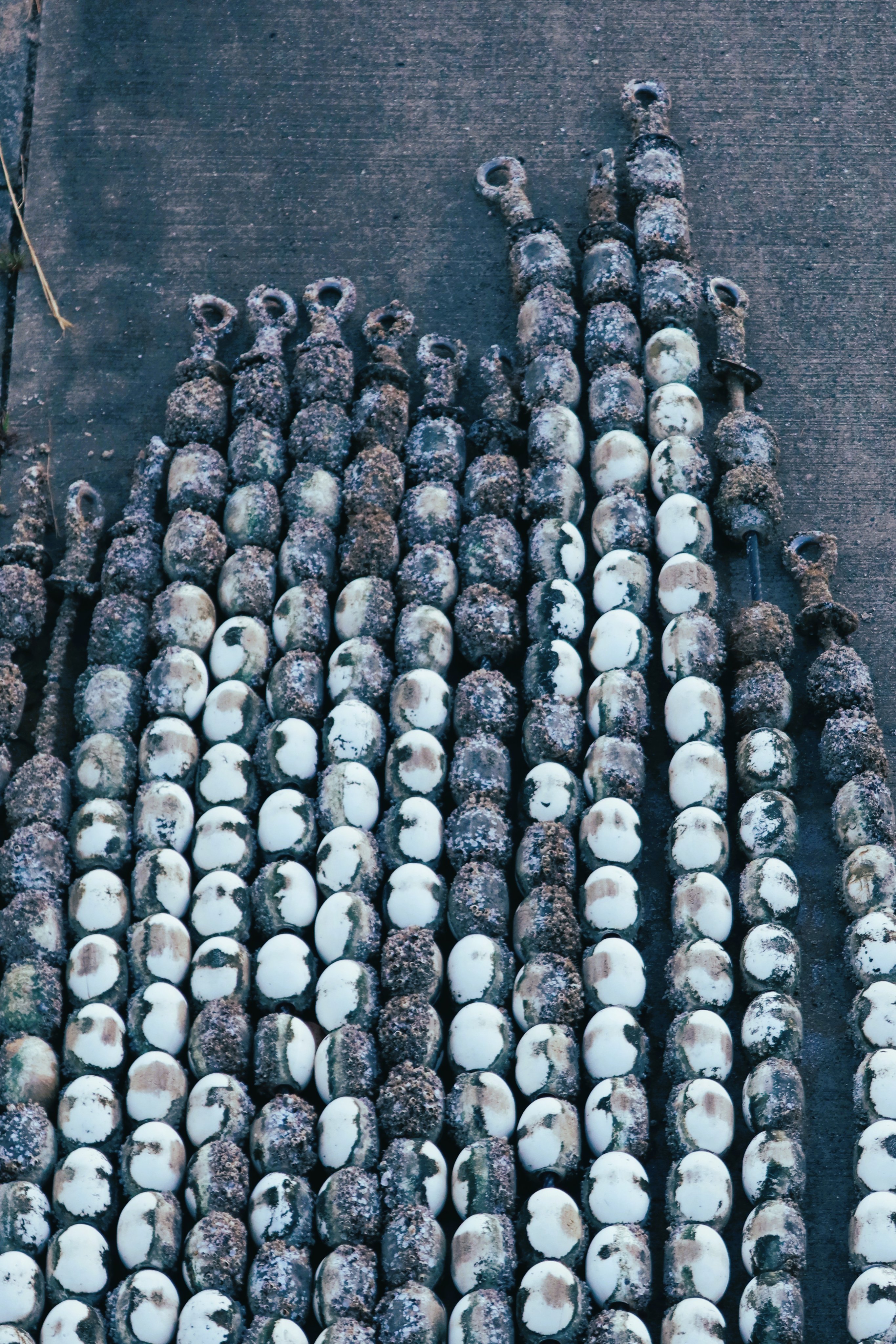 gallery_no8 - Search / X