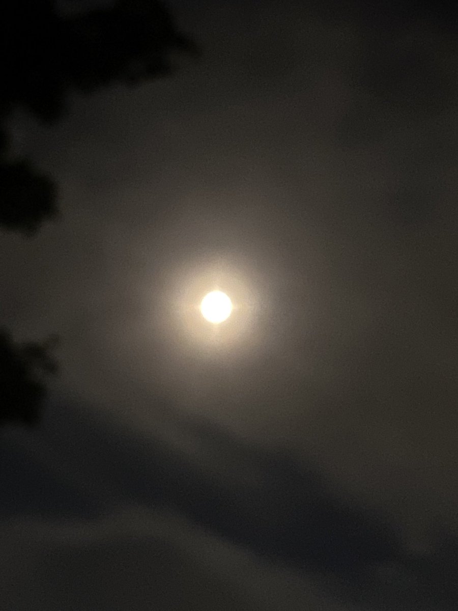 my pictures aren't rlly good but look how bright it is!!! it is also less cloudy than I thought it was