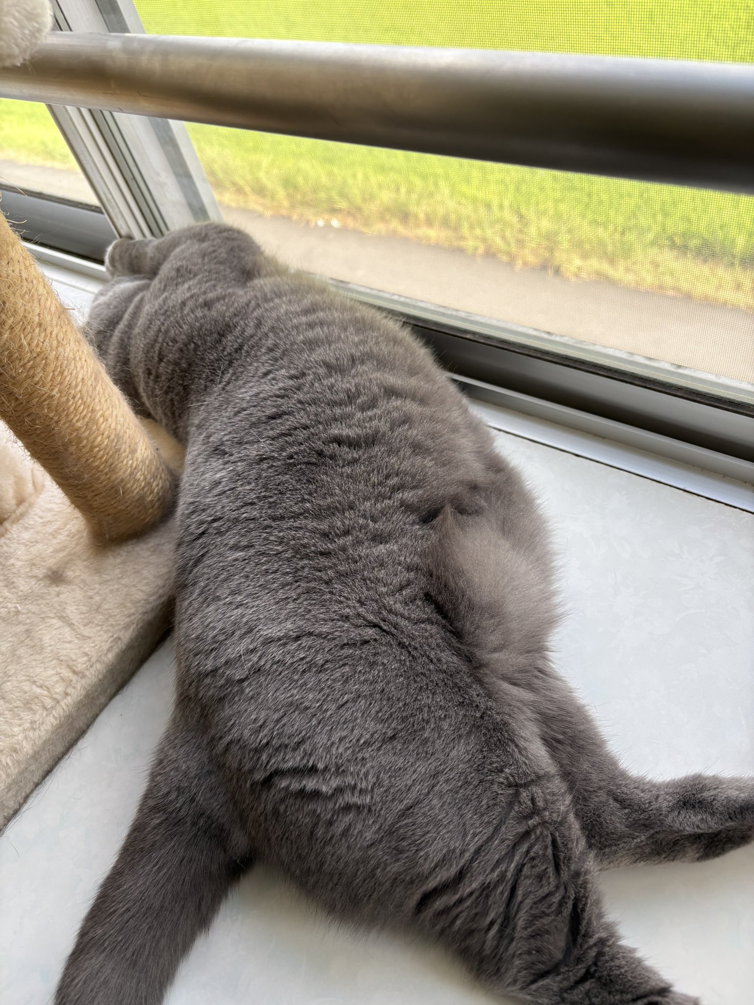 ねこさん様へ maxresdefault.jpg