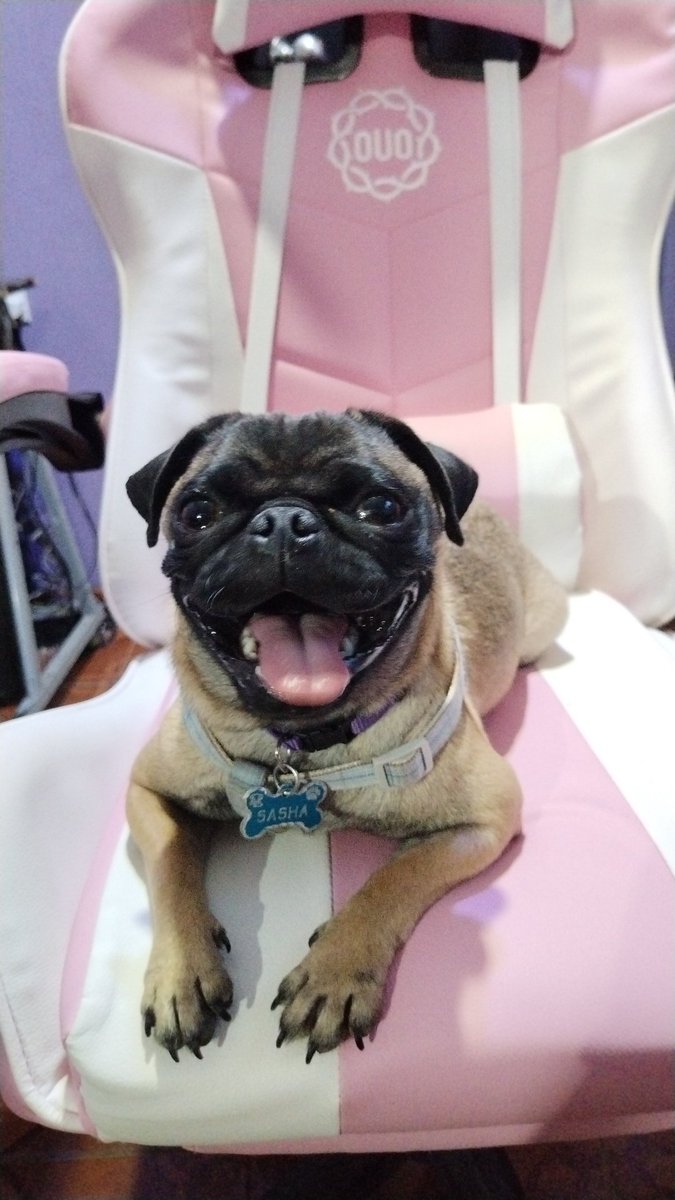 El amor de mi vida 🥹🩷