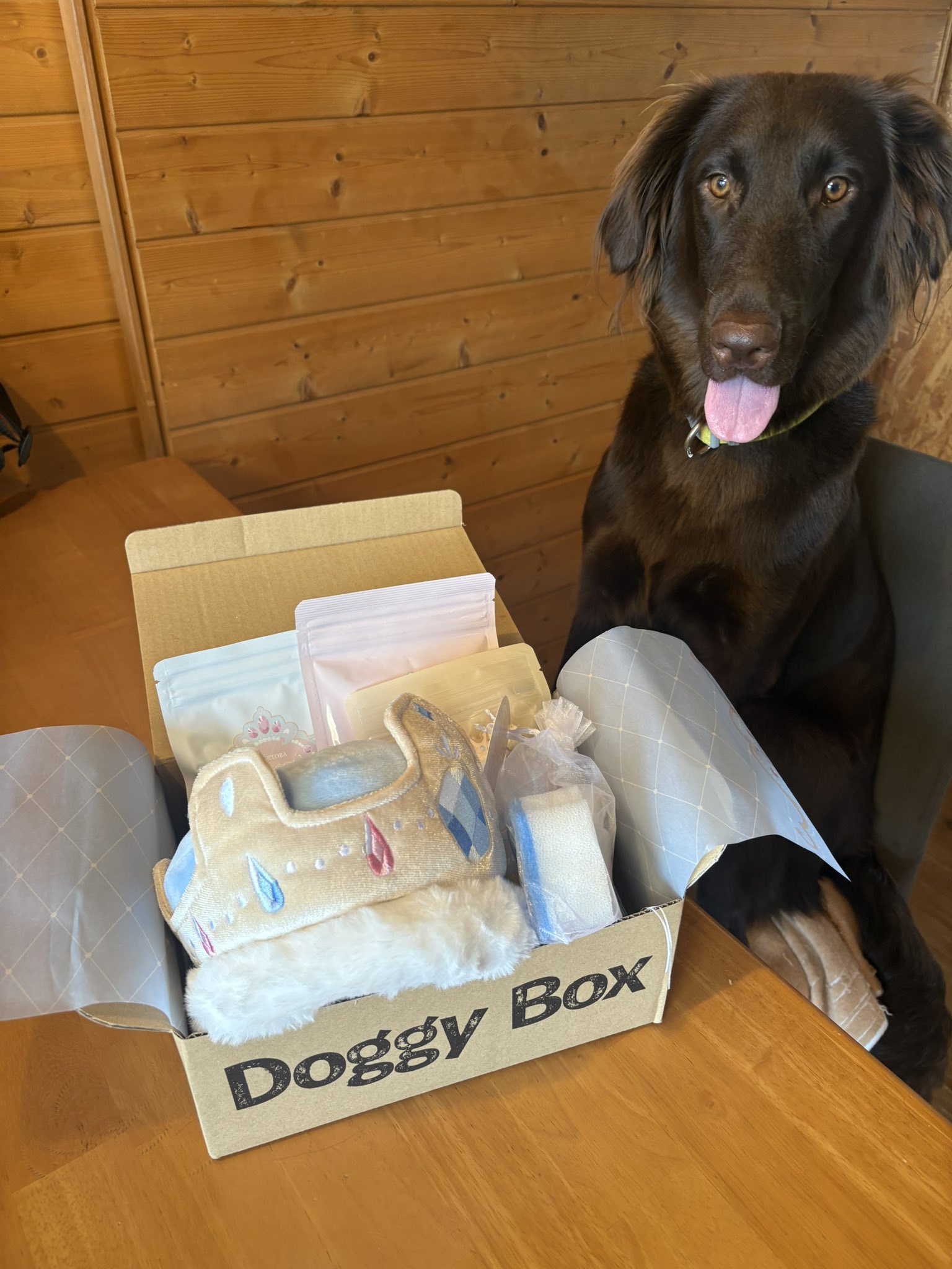 【新品】doggybox ドギーボックス　犬のおもちゃ　60個　セット Doggy Box | 毎月サプライズいっぱいのBOXをお届け