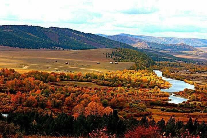 Бороотой амралтын өдрийн мэндээ 🍂🍁🪾