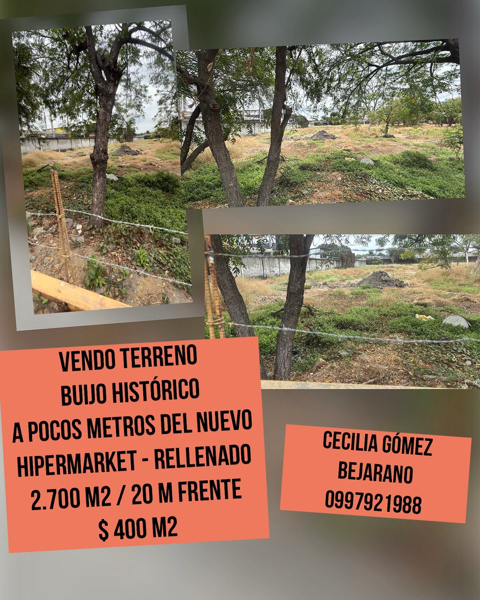 INFORMES:
CECILIA GÓMEZ BEJARANO 
0997921988